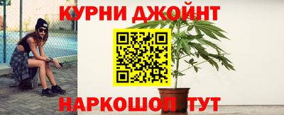 гидропоника Кингисепп